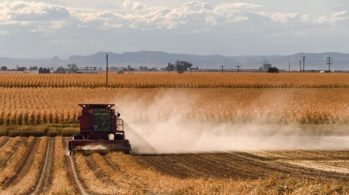 Click to enlarge agriculture farming