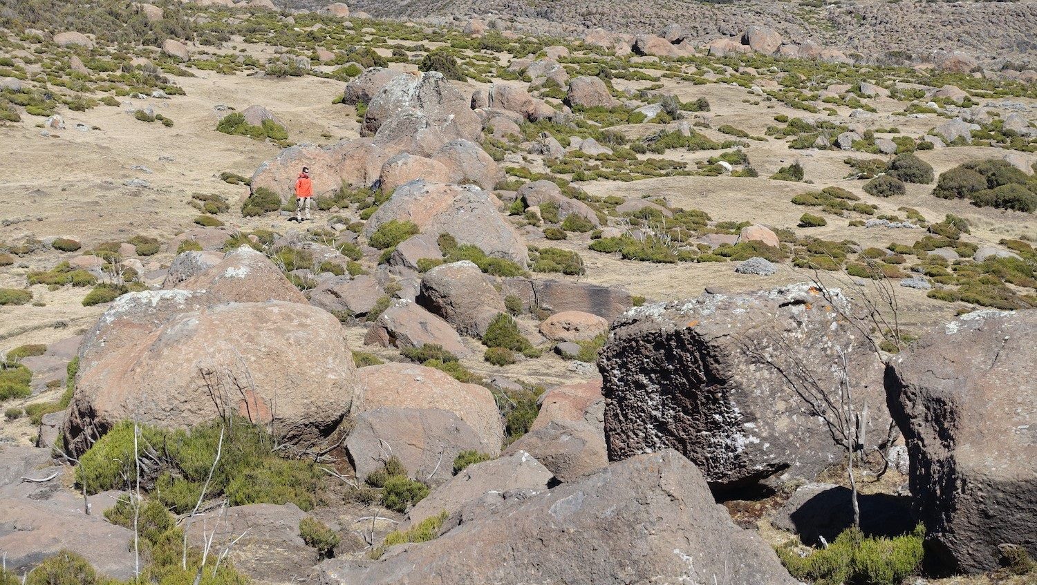 Click to enlarge Boulders in Harcha Valley, Ethiopia