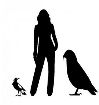 Click to enlarge giant parrot