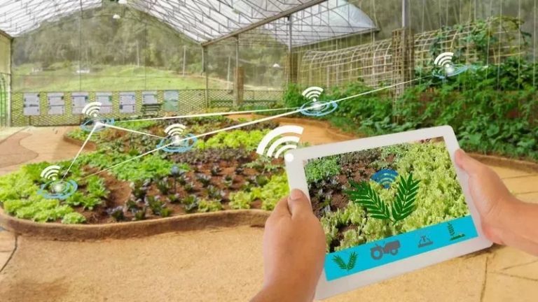 5 G agriculture
