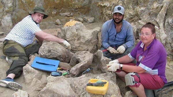 Click to enlarge Ancient rhino skull russia