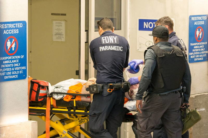 Click to enlarge epstein suicide