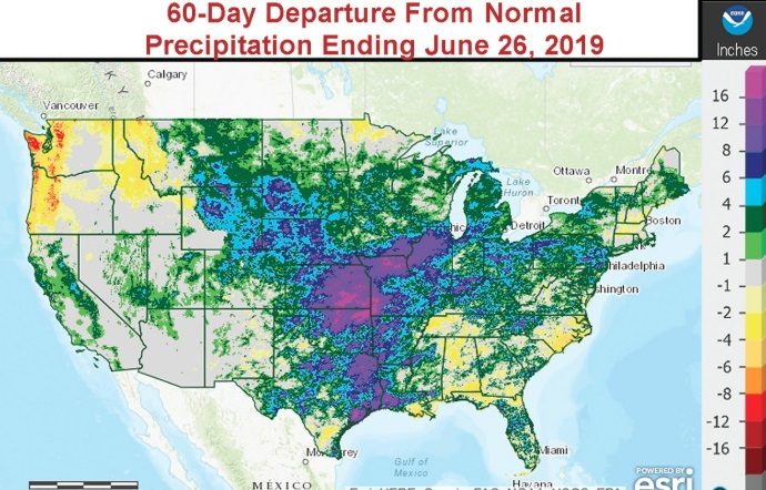 Click to enlarge rain forecast
