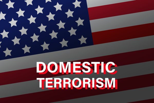 domestic terrorism