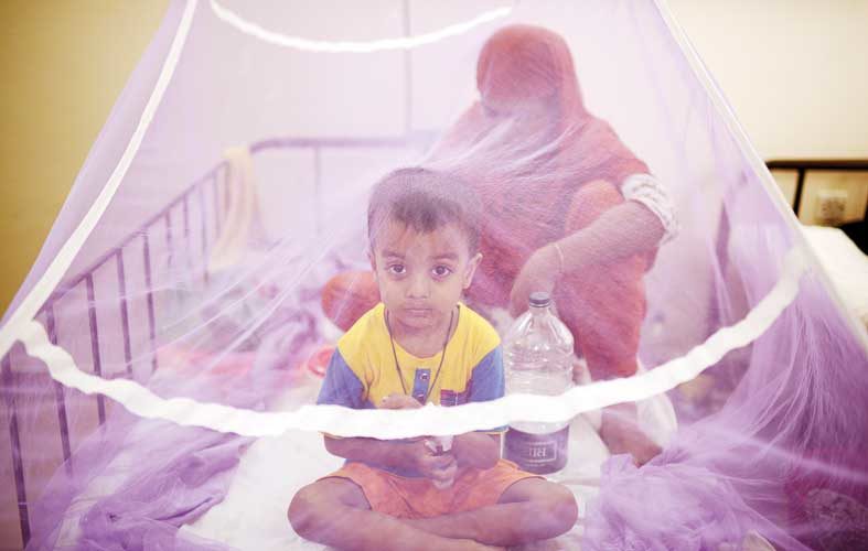 Dengue tent