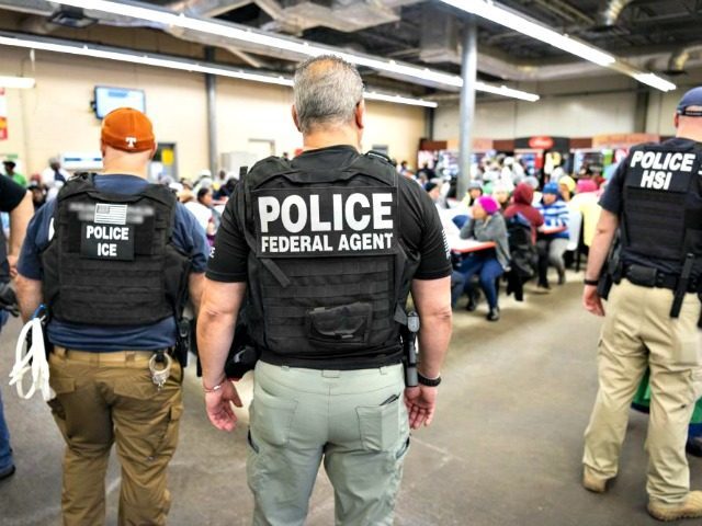 ice agents
