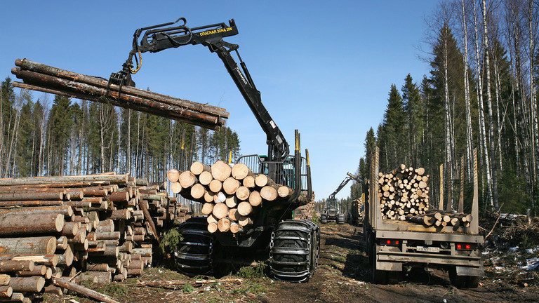 logging