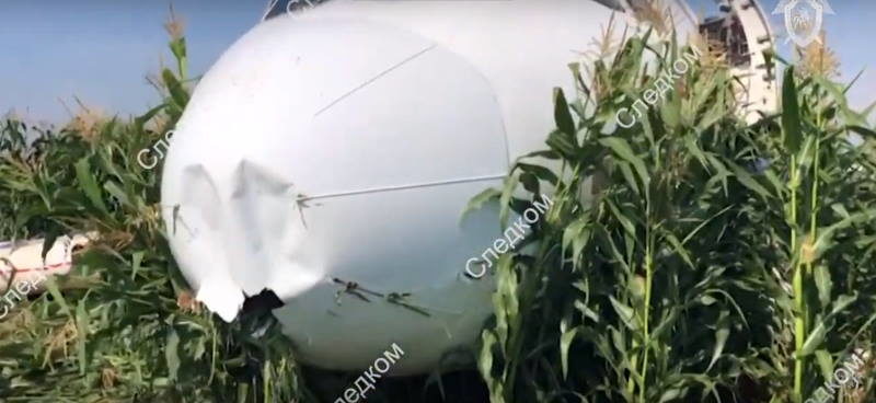 moscow jet crash bird strike