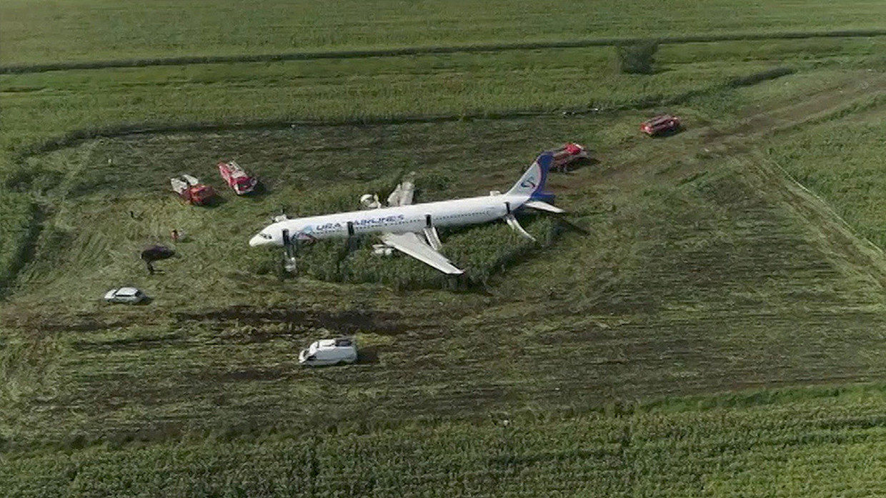 moscow jet crash bird strike