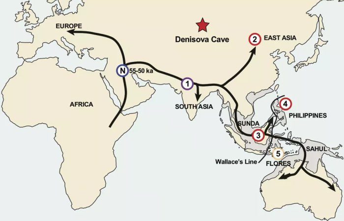 Click to enlarge denisovans