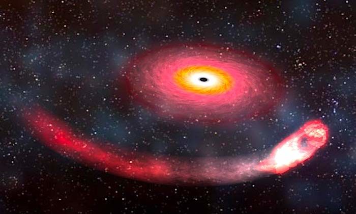 Black hole/neutron star
