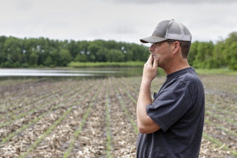 American farmer