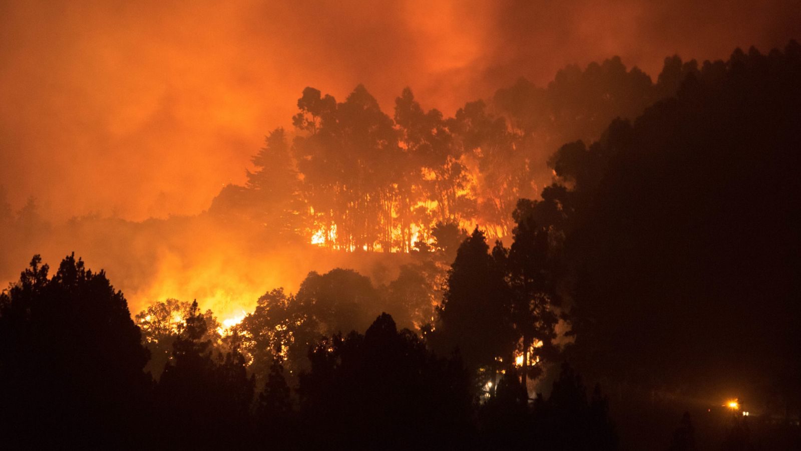 Gran Canaria wildfires