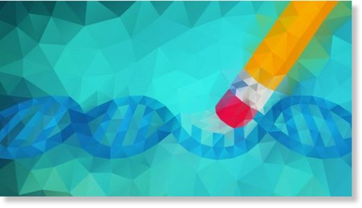 gene editing