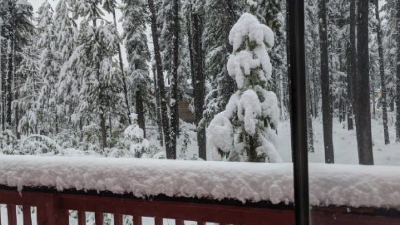 The view from Melody Magaton's window Monday morning, at the Buffalo Inn along the Alaska Highway in Pink Mountain, 190 kilometres north of Fort St. John, B.C.