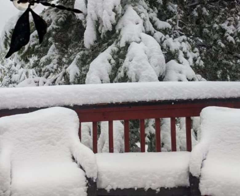 Click to enlarge 'It looks like February. The trees are completely covered,' said Magaton.