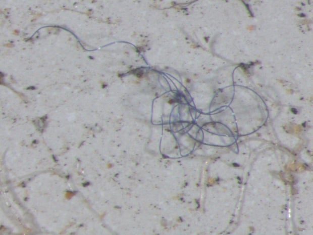 plastic