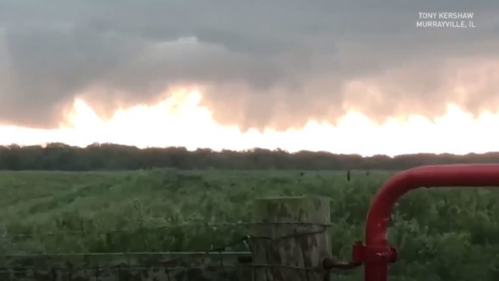 cow lightning