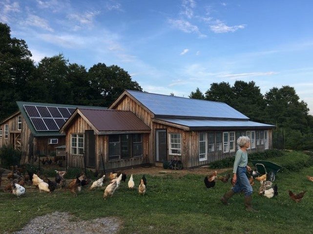 regenerative skyhill farm