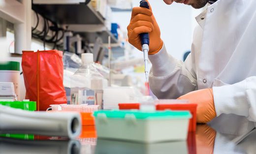 Click to enlarge CRISPR lab