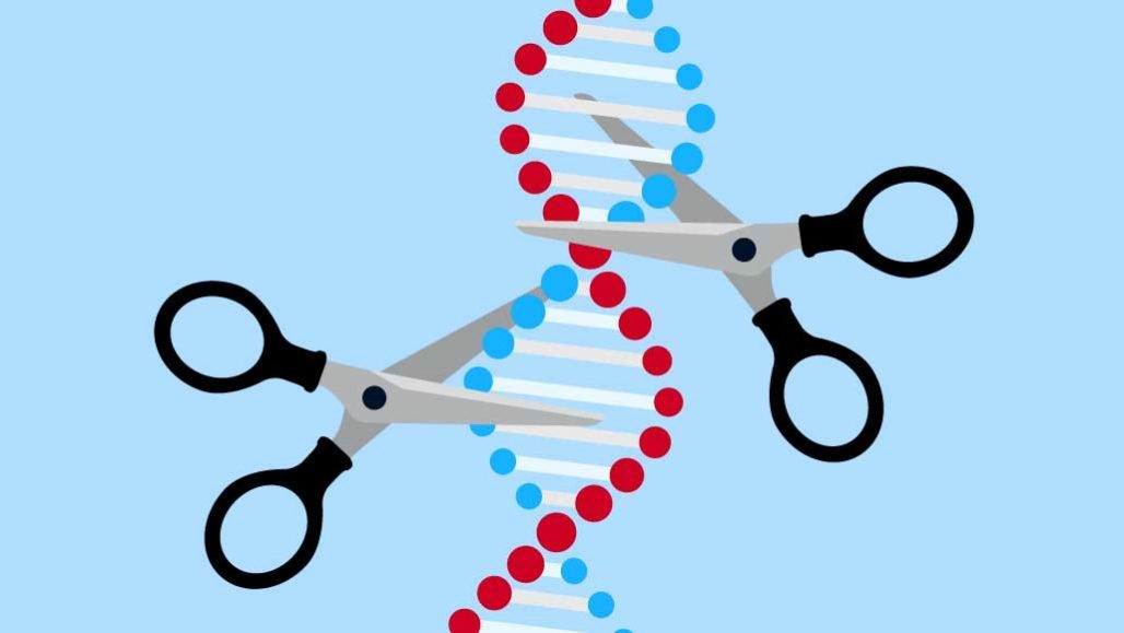 Click to enlarge CRISPR scissor