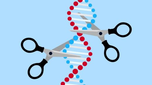 Click to enlarge CRISPR scissor