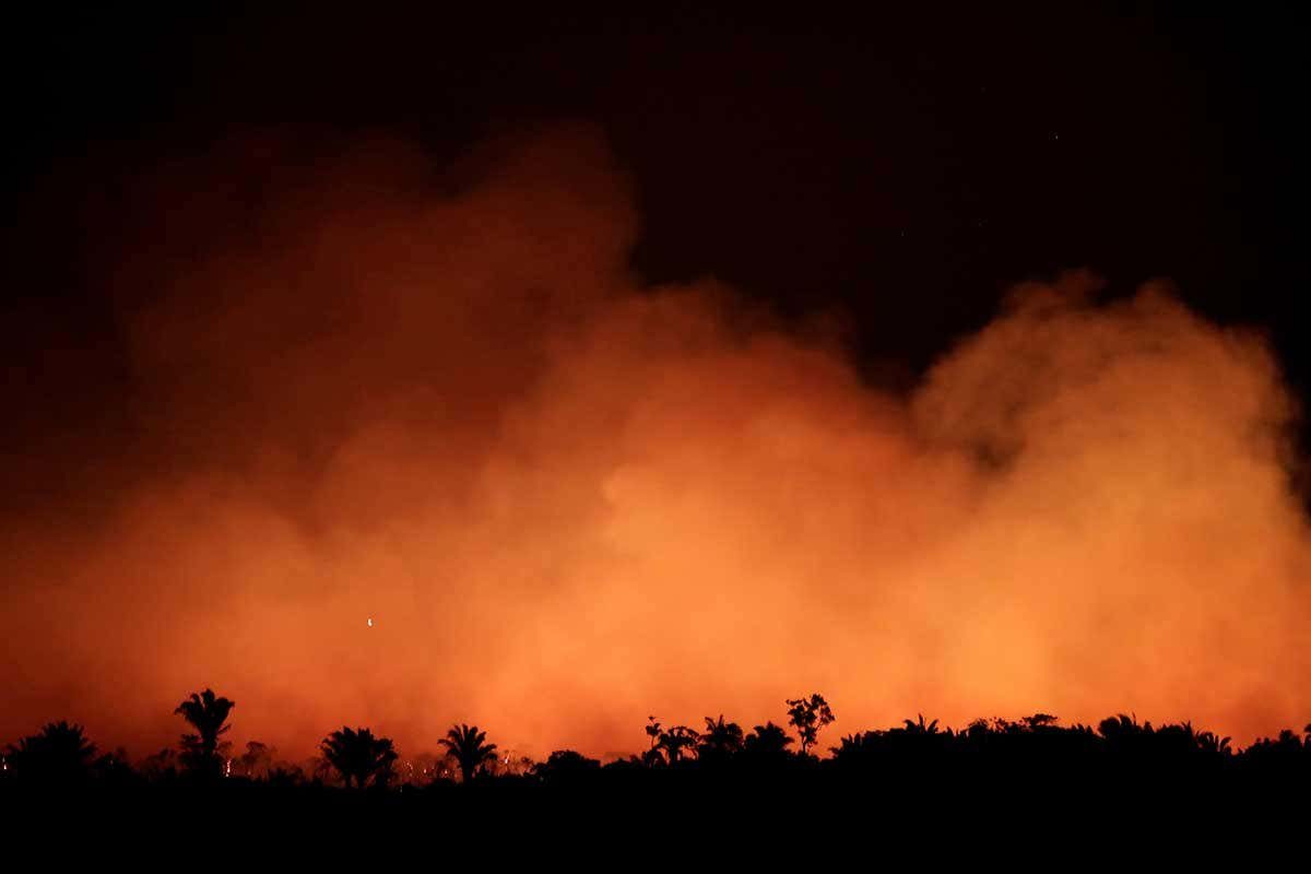 Click to enlarge fire rainforest near Humaita Amazonas state