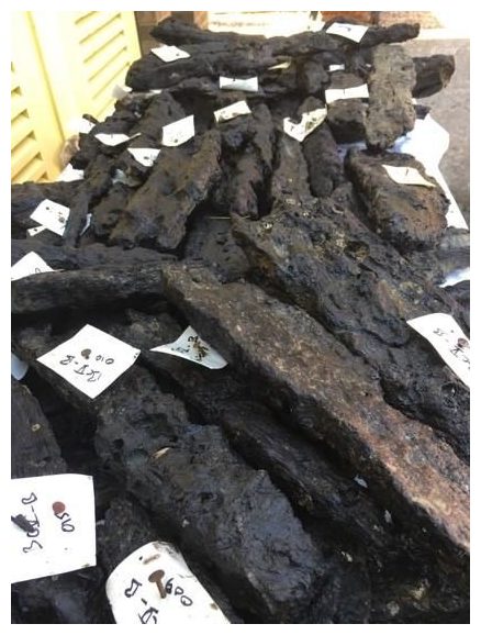 Click to enlarge Ancient Wood Platform