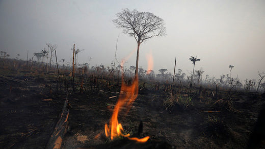 A tract of burnt jungle in Boca Do Acre, Brazil