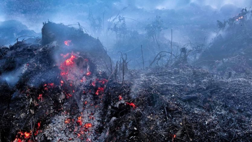 Click to enlarge This used to be lush, green forest. A freshly scorched landscape is seen in Riau province, Indonesia