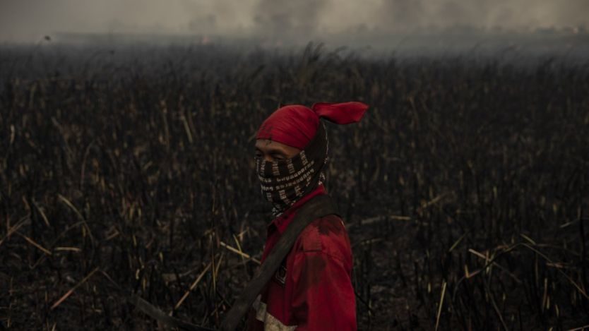 Click to enlarge What will become of the forest fire situation in Indonesia?