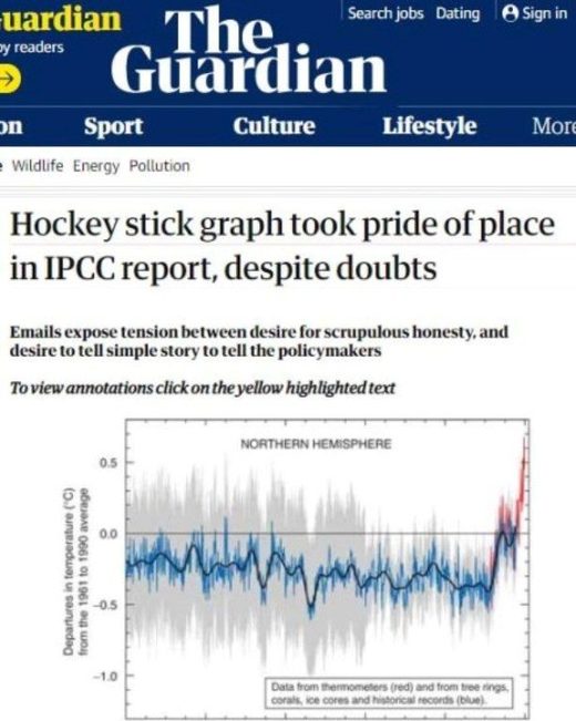 Guardian article hockey stick