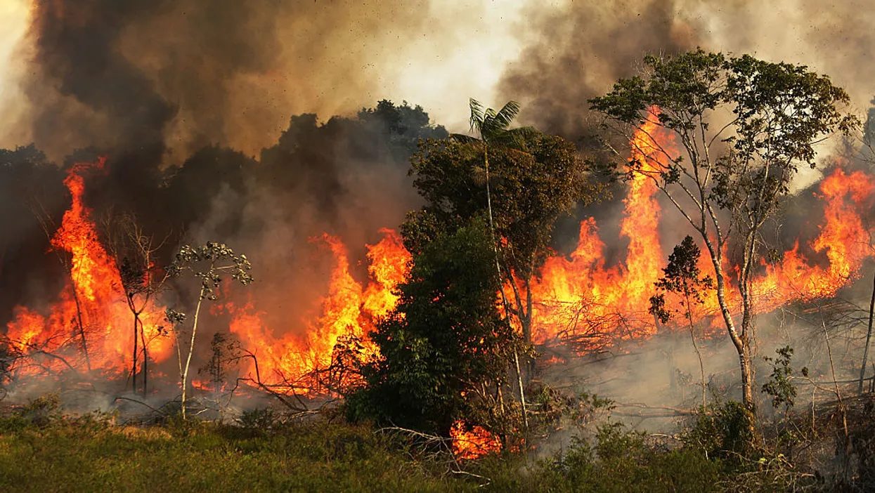 Click to enlarge Amazon rain forest fire