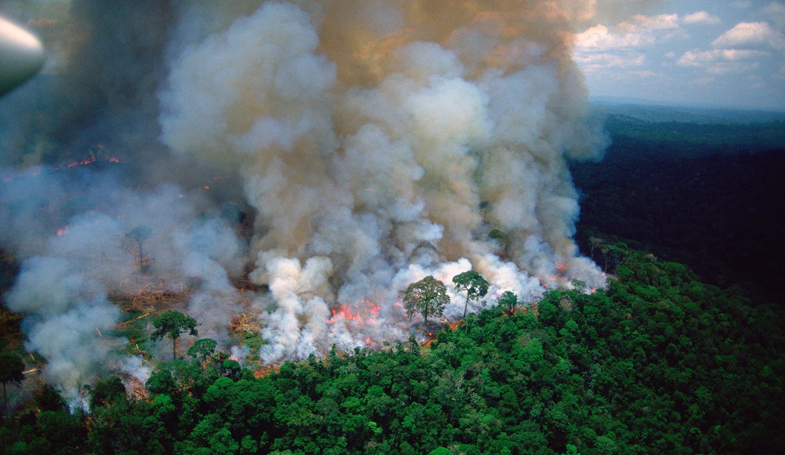 amazon rain forest fire