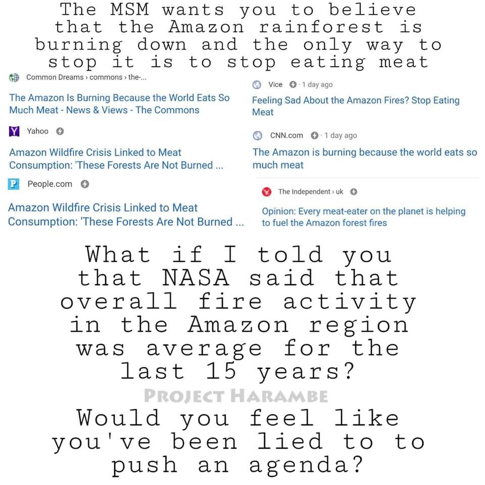 amazon fires eating meat