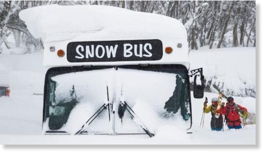 SNOW BUS