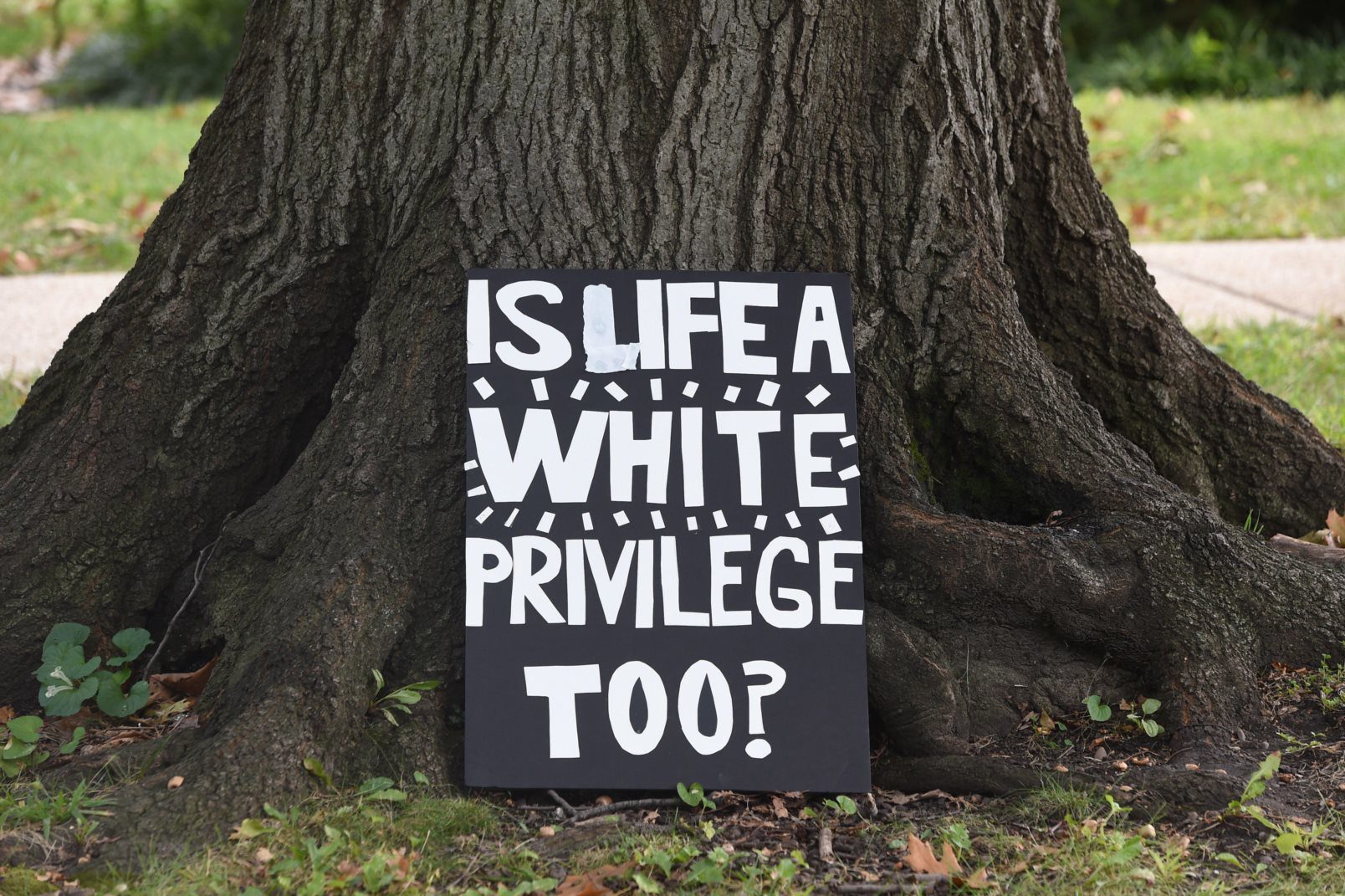 Click to enlarge white privilege