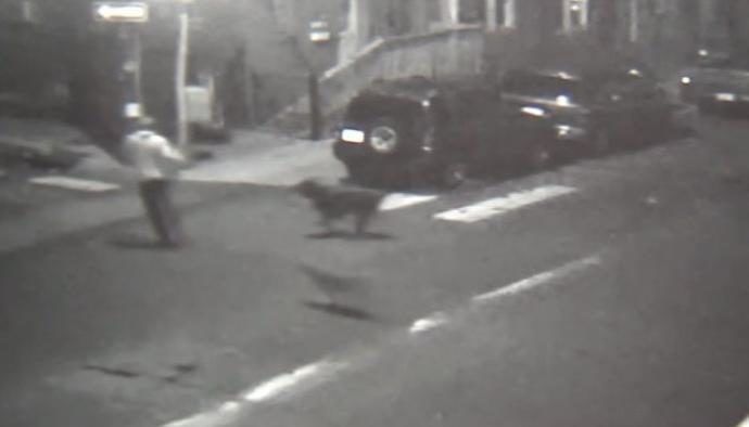 Man, 57, tackled to ground, critically injured during dog attack in .