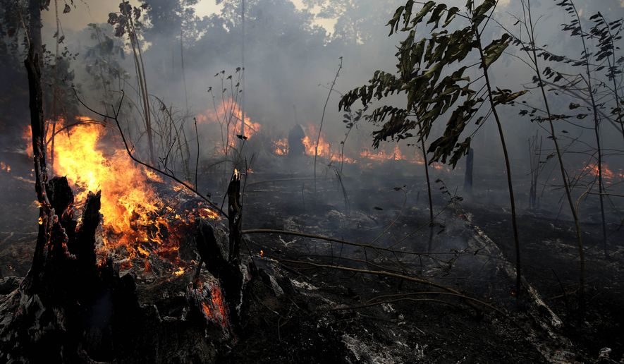 amazon fires