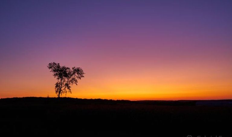 Click to enlarge Purple skies
