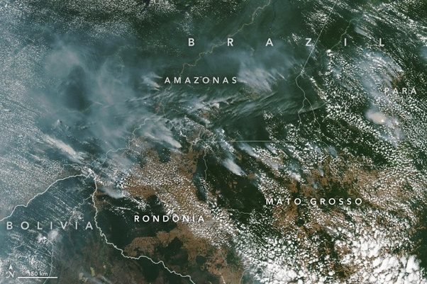 Click to enlarge amazon smoke satellite image