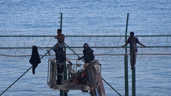 Migrants
