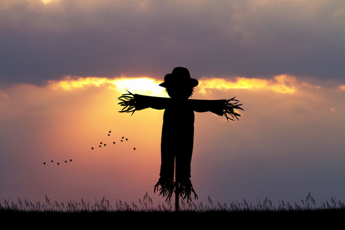 scarecrow