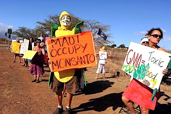 Click to enlarge Protesters in Maui