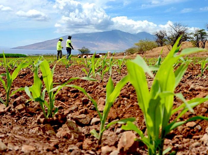Click to enlarge Monsanto crew
