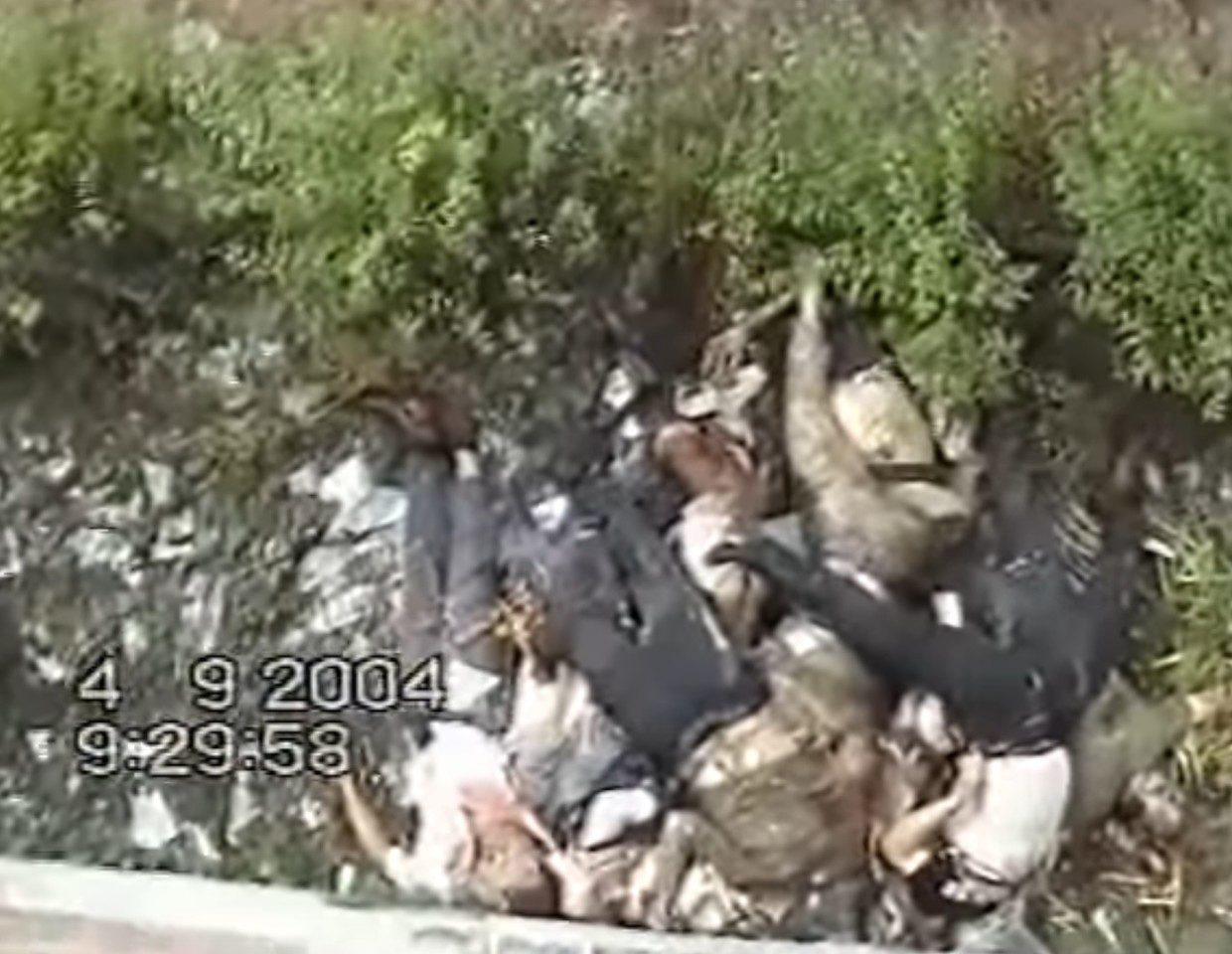 Click to enlarge dead bodies