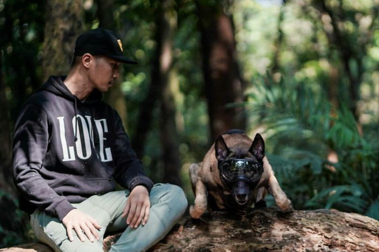 TV presenter Bima Aryo with one of his two Belgian Malinoises.