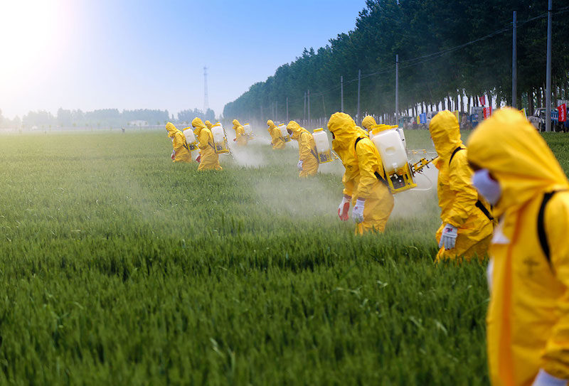 Click to enlarge glyphosate herbicide