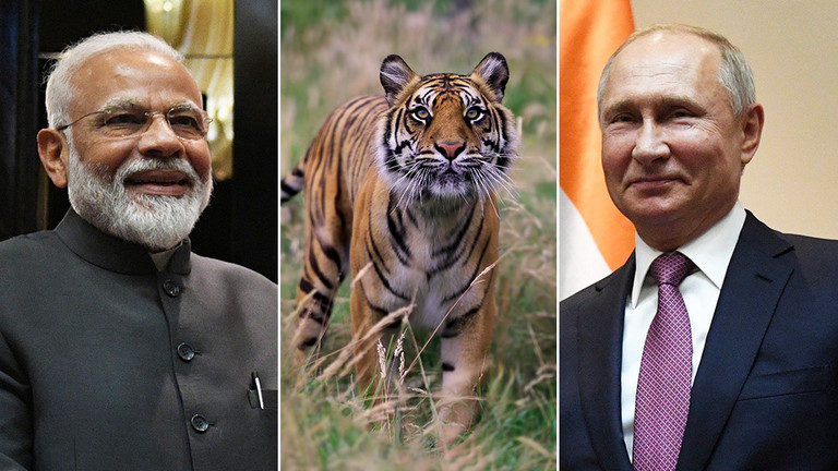 putin and modi