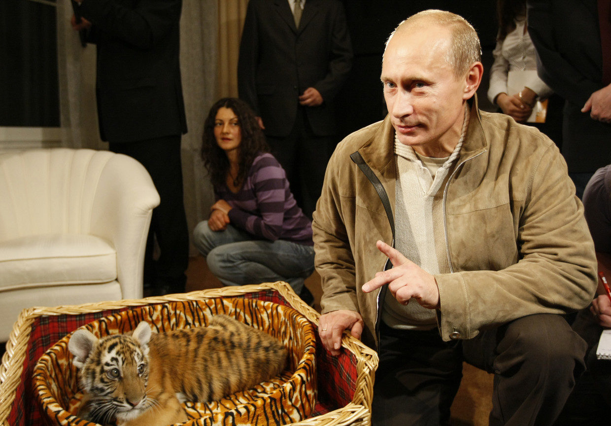 Click to enlarge putin and tiger
